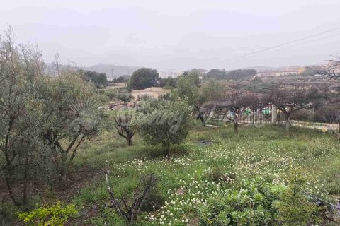 Landejendom i Monovar, Alicante, Monovar - € 88.000 | Ref: SF0564 - foto 19